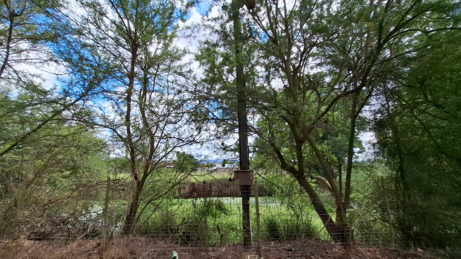 0 Bedroom Property for Sale in Heidelberg Western Cape